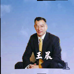 王晨
